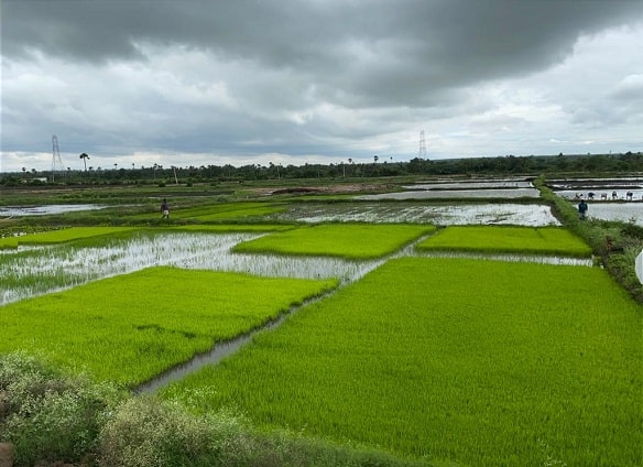 farm 2
