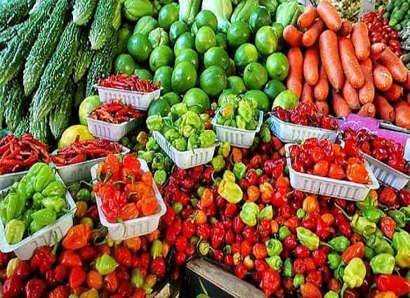 organic vegetable
